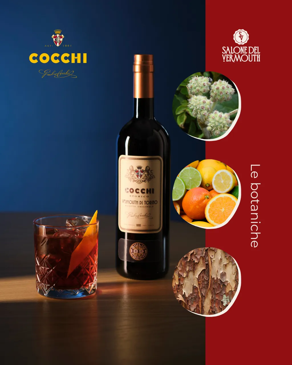 cocchi 1_risultato
