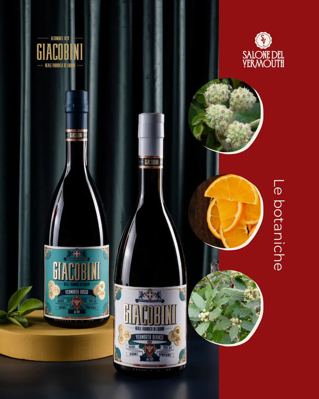 giacobini 1_risultato