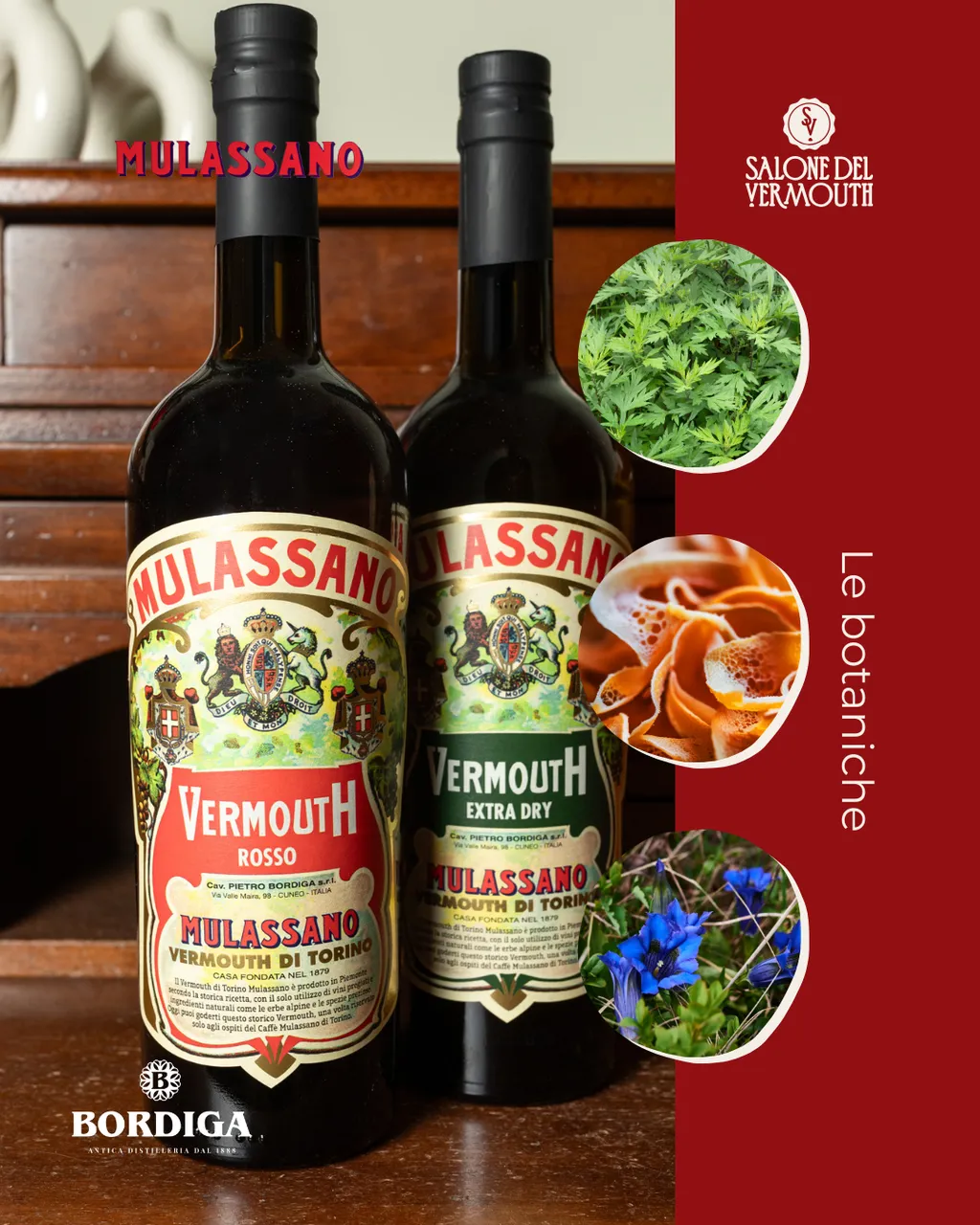 mulassano 1_risultato